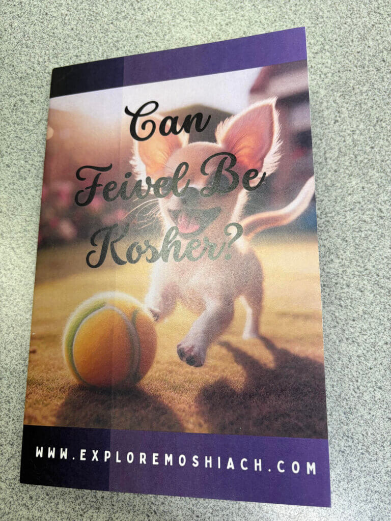 can feivel be kosher (final cover)